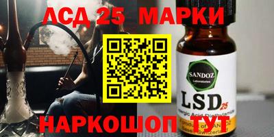 шишки Новозыбков