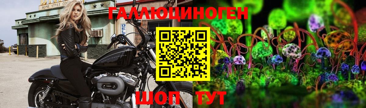 Псилоцибиновые грибы Psilocybe  Галлюциногенные грибы мухоморы  Вход с VPN  Сердобск 